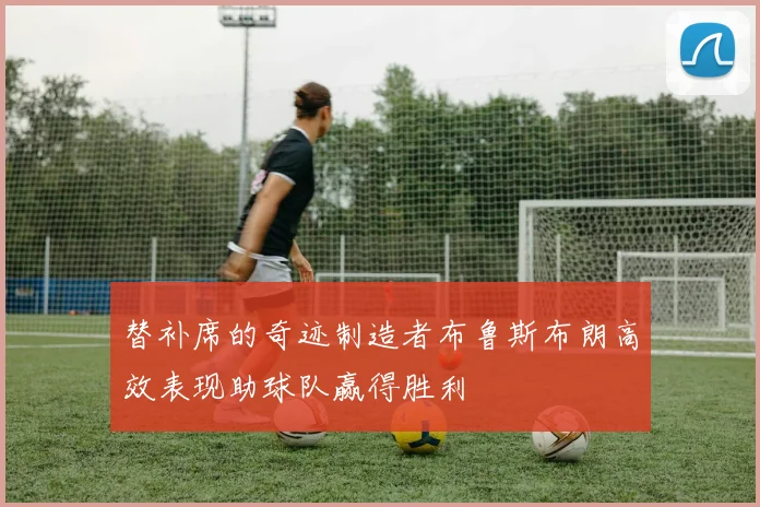 替补席的奇迹制造者布鲁斯布朗高效表现助球队赢得胜利
