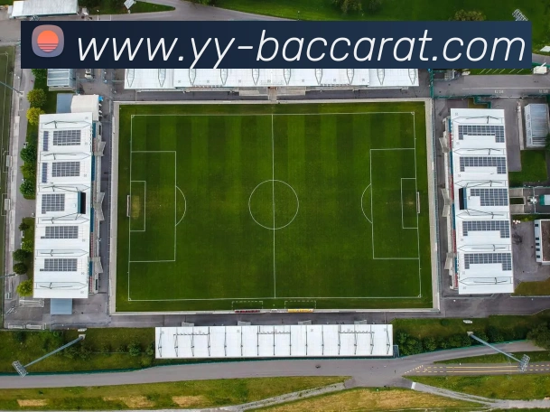 百家乐网站平台生态图