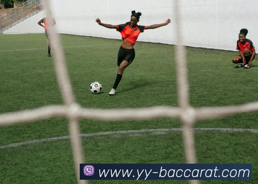 百家乐网站APP 封面图