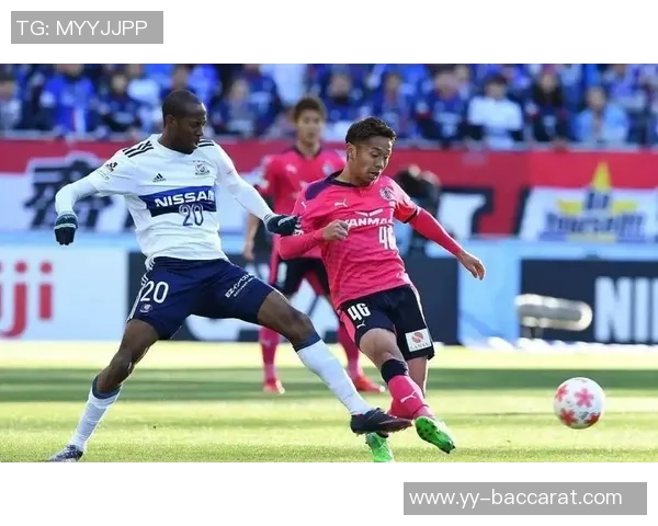 中国某球队与大阪樱花巴西边锋拉斐尔谈判引发关注44场23球4助表现抢眼 中国某球队与大阪樱花巴西边锋拉斐尔谈判引发关注44场23球4助表现抢眼