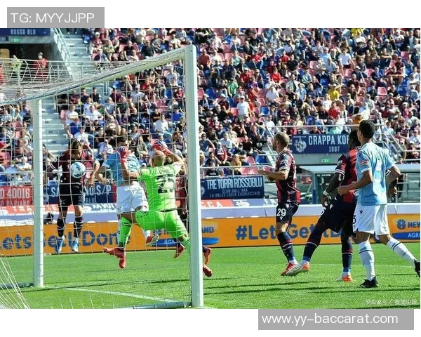 英超球队受非洲杯影响分析桑德兰主力缺席人数最多其他五队未受影响